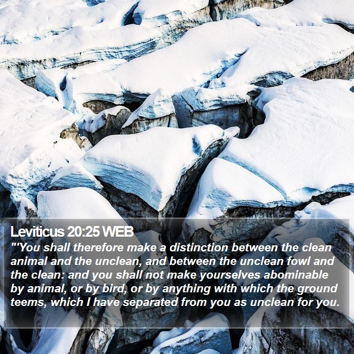 Leviticus 20:25 WEB Bible Study