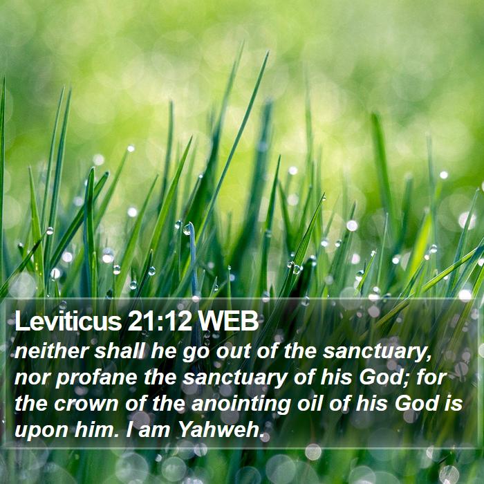 Leviticus 21:12 WEB Bible Study