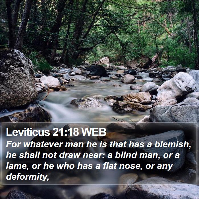 Leviticus 21:18 WEB Bible Study