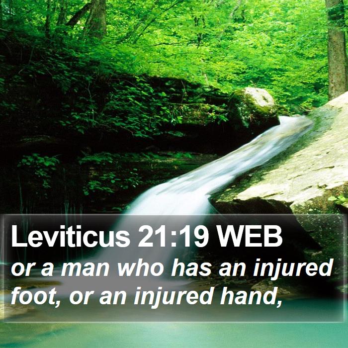 Leviticus 21:19 WEB Bible Study