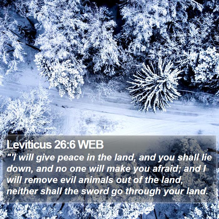 Leviticus 26:6 WEB Bible Study