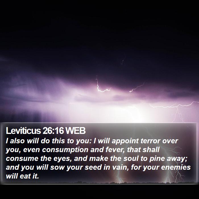 Leviticus 26:16 WEB Bible Study