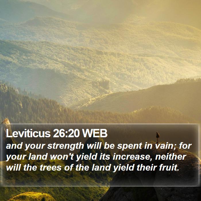 Leviticus 26:20 WEB Bible Study