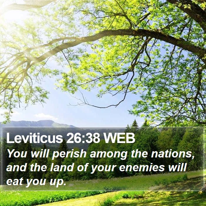 Leviticus 26:38 WEB Bible Study