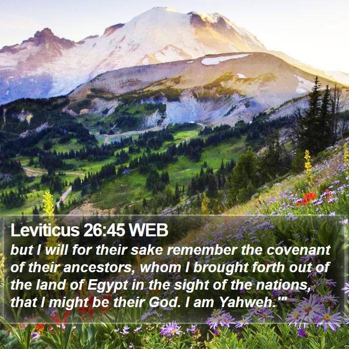 Leviticus 26:45 WEB Bible Study