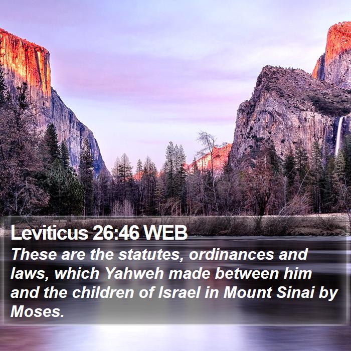 Leviticus 26:46 WEB Bible Study