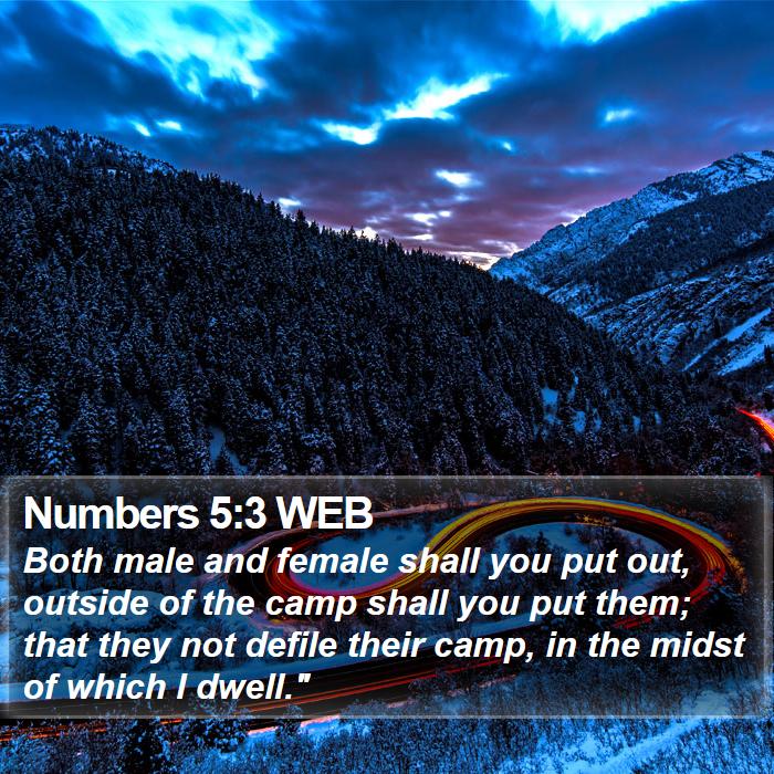 Numbers 5:3 WEB Bible Study