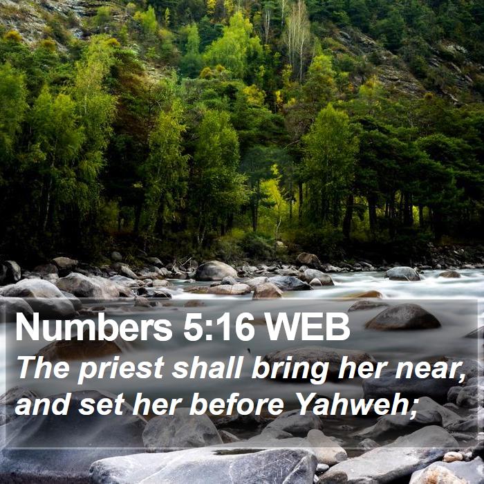 Numbers 5:16 WEB Bible Study