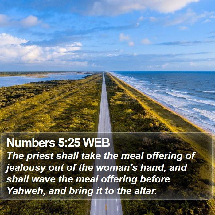 Numbers 5:25 WEB Bible Study