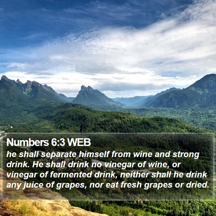 Numbers 6:3 WEB Bible Study