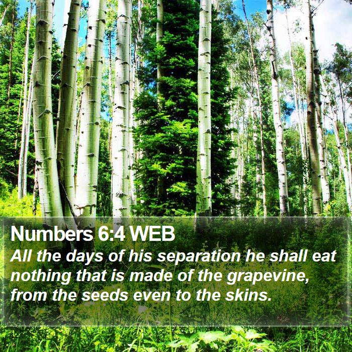 Numbers 6:4 WEB Bible Study