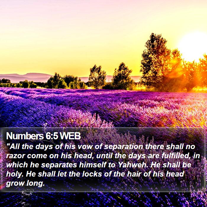 Numbers 6:5 WEB Bible Study