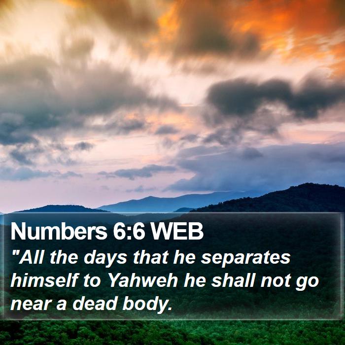 Numbers 6:6 WEB Bible Study