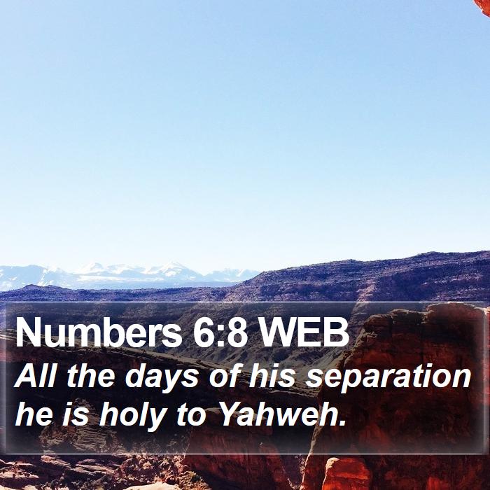 Numbers 6:8 WEB Bible Study