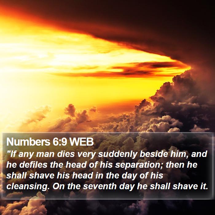 Numbers 6:9 WEB Bible Study