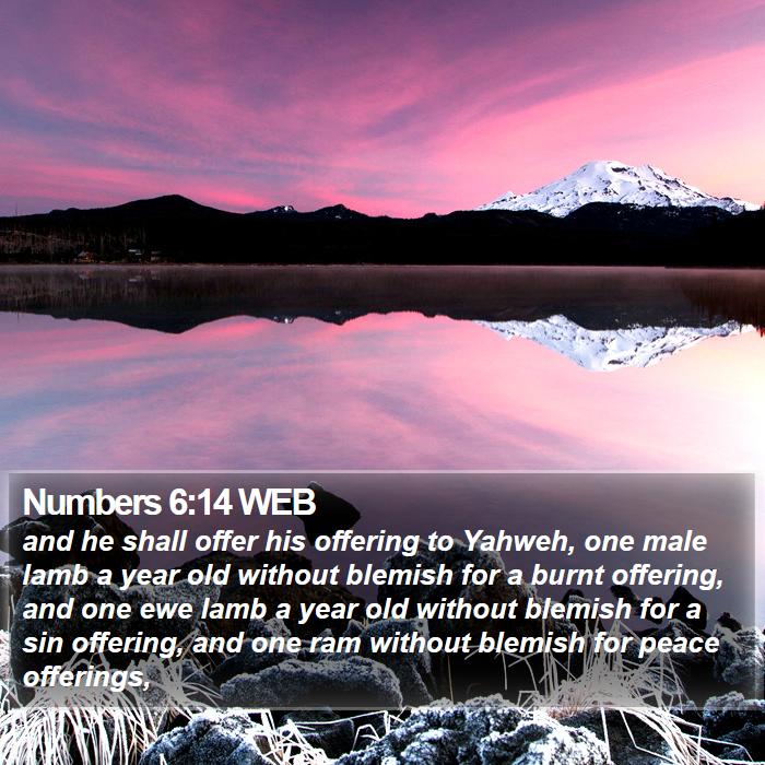 Numbers 6:14 WEB Bible Study