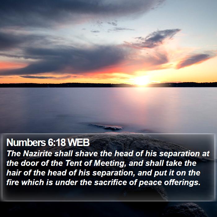 Numbers 6:18 WEB Bible Study