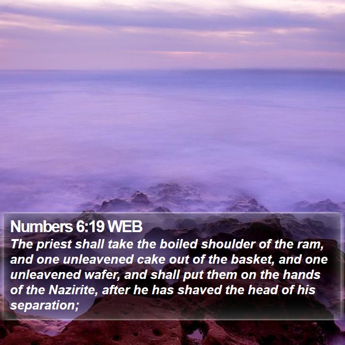 Numbers 6:19 WEB Bible Study