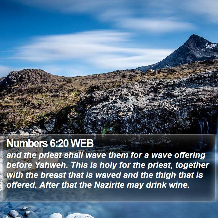 Numbers 6:20 WEB Bible Study