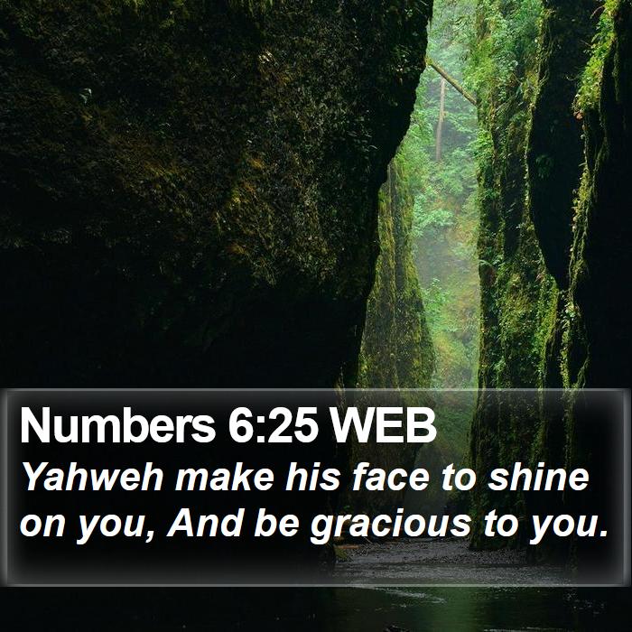 Numbers 6:25 WEB Bible Study