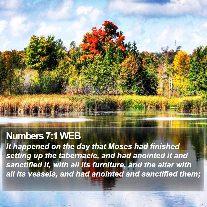 Numbers 7:1 WEB Bible Study