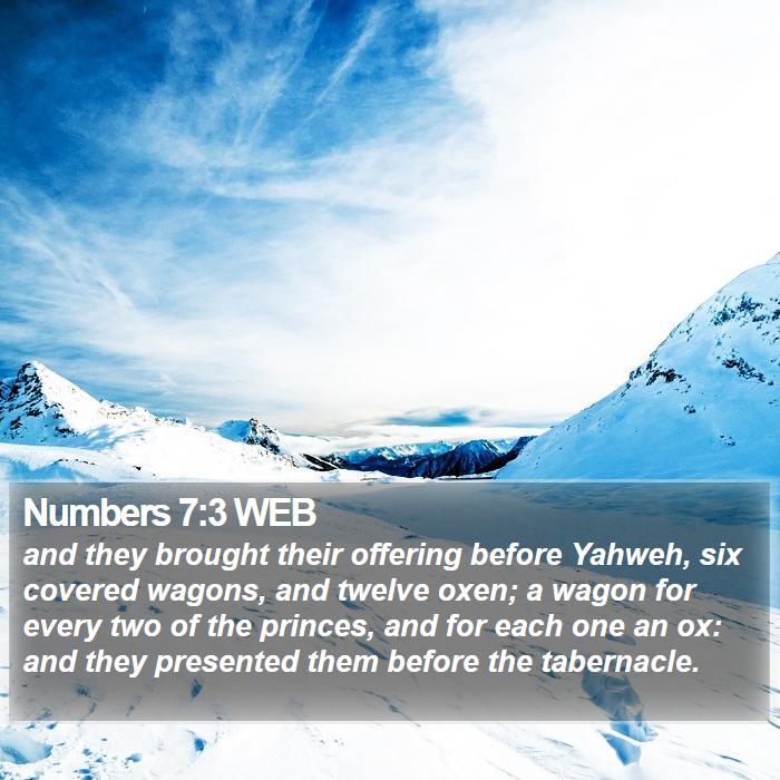 Numbers 7:3 WEB Bible Study