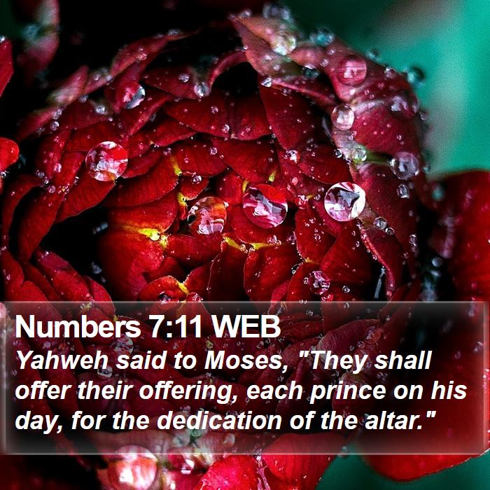 Numbers 7:11 WEB Bible Study