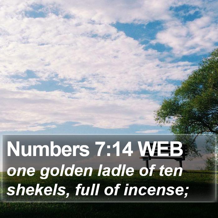 Numbers 7:14 WEB Bible Study