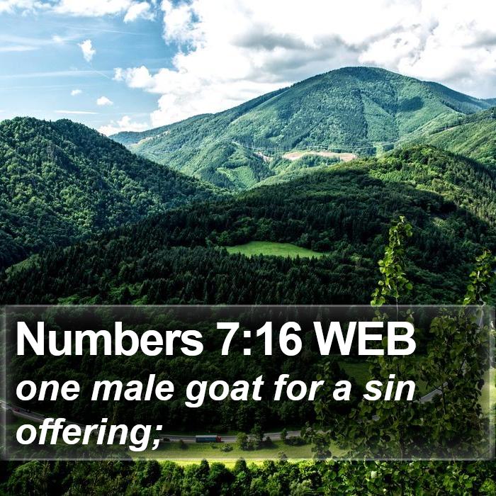 Numbers 7:16 WEB Bible Study