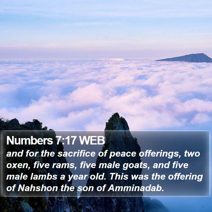 Numbers 7:17 WEB Bible Study