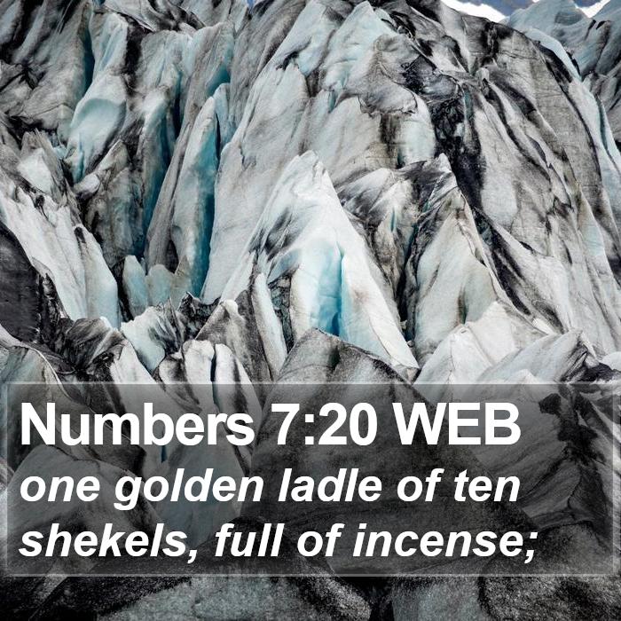 Numbers 7:20 WEB Bible Study