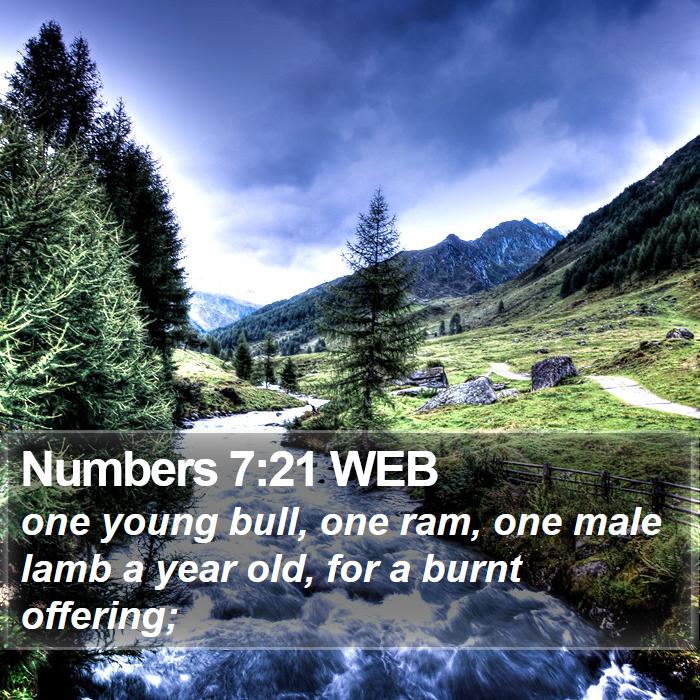 Numbers 7:21 WEB Bible Study