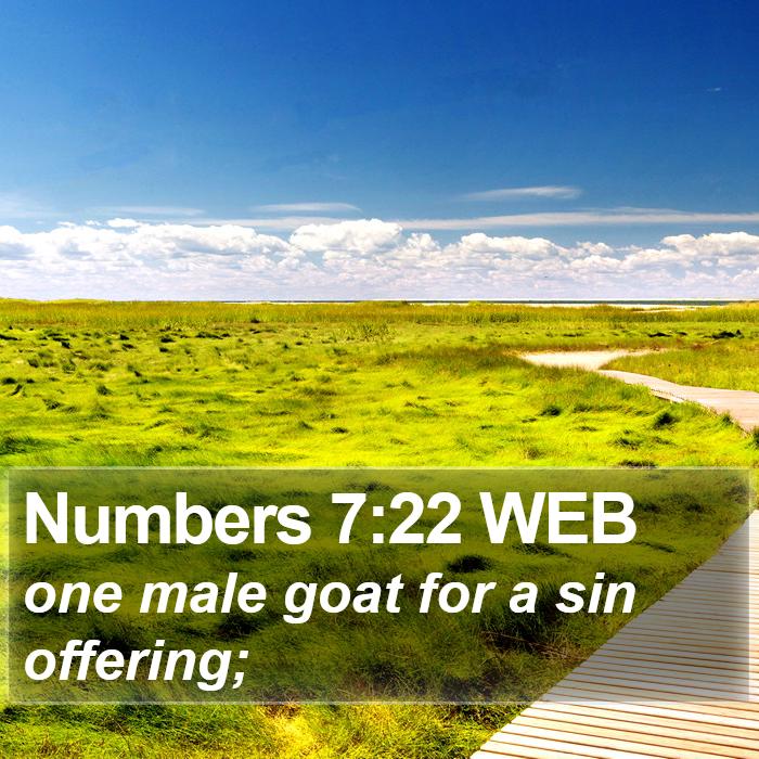 Numbers 7:22 WEB Bible Study