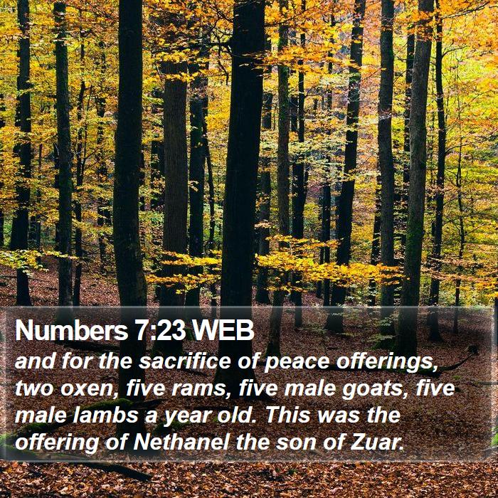 Numbers 7:23 WEB Bible Study