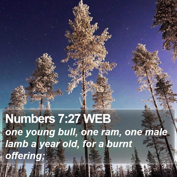 Numbers 7:27 WEB Bible Study