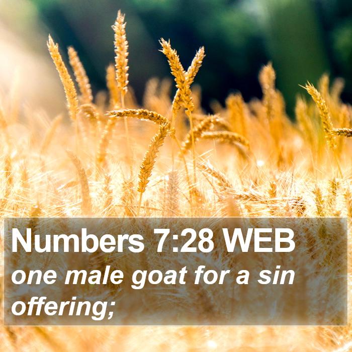 Numbers 7:28 WEB Bible Study