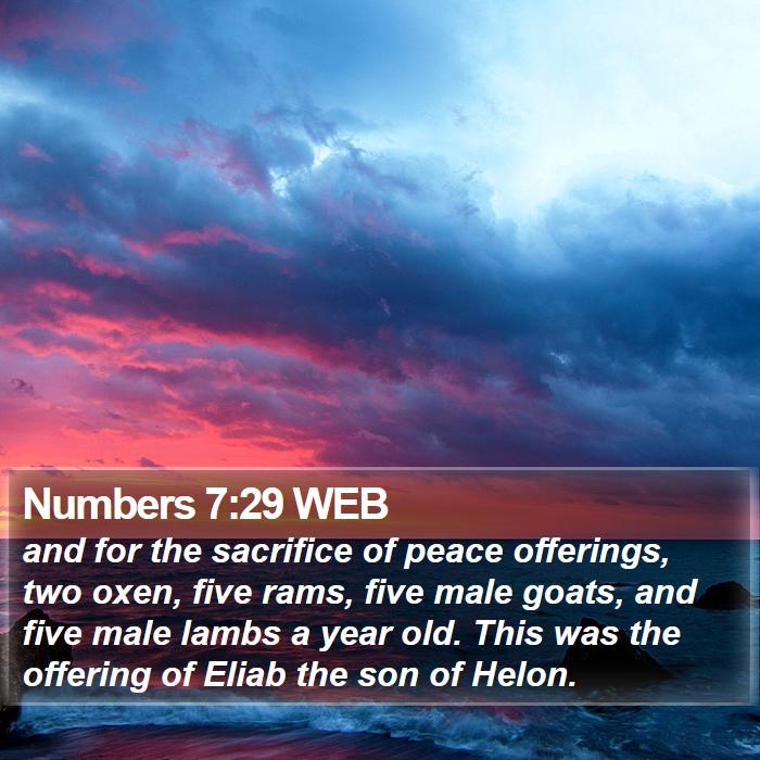 Numbers 7:29 WEB Bible Study