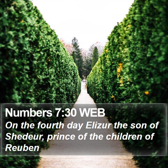 Numbers 7:30 WEB Bible Study