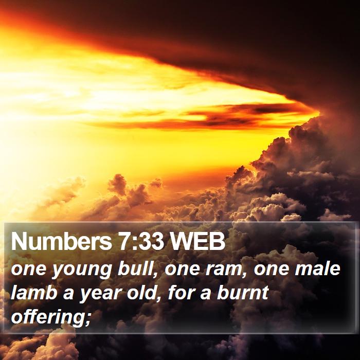 Numbers 7:33 WEB Bible Study