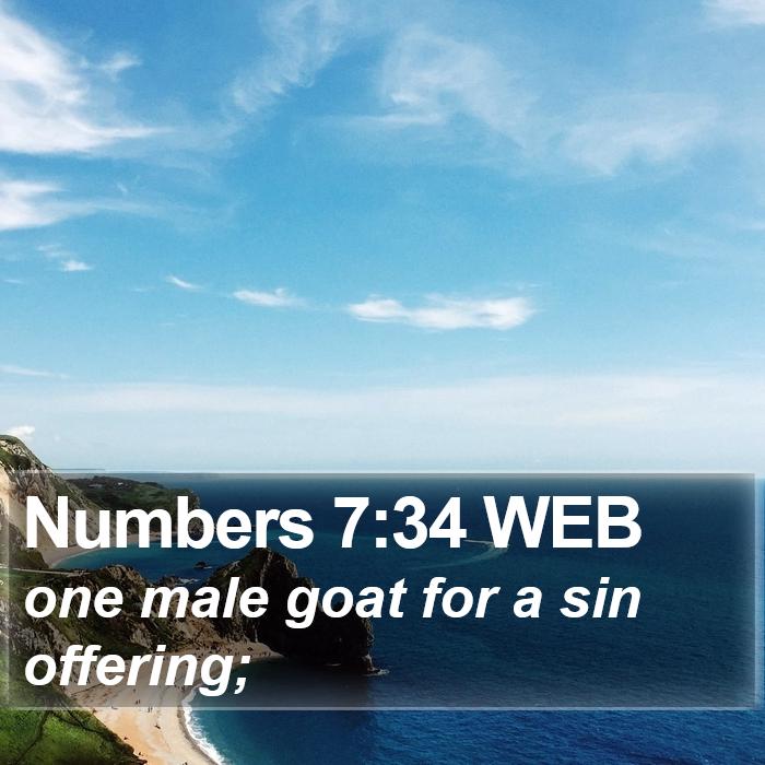 Numbers 7:34 WEB Bible Study