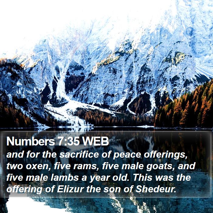 Numbers 7:35 WEB Bible Study