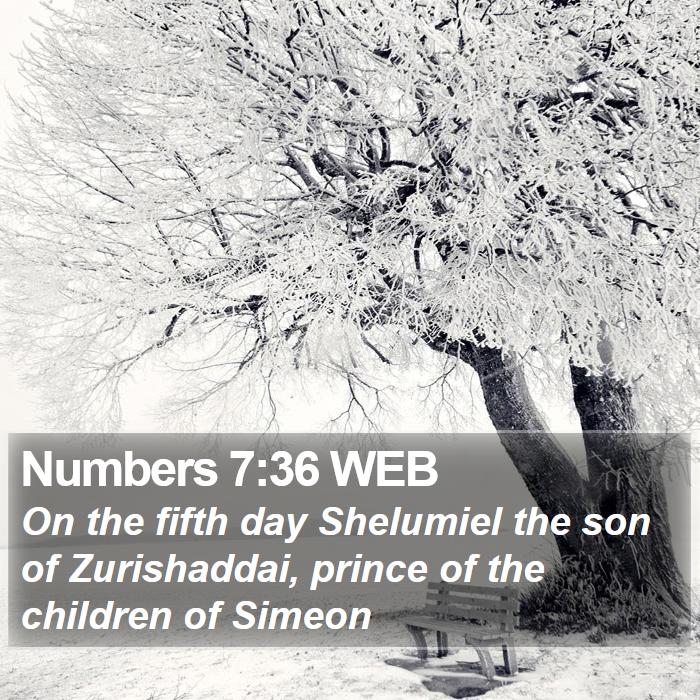 Numbers 7:36 WEB Bible Study