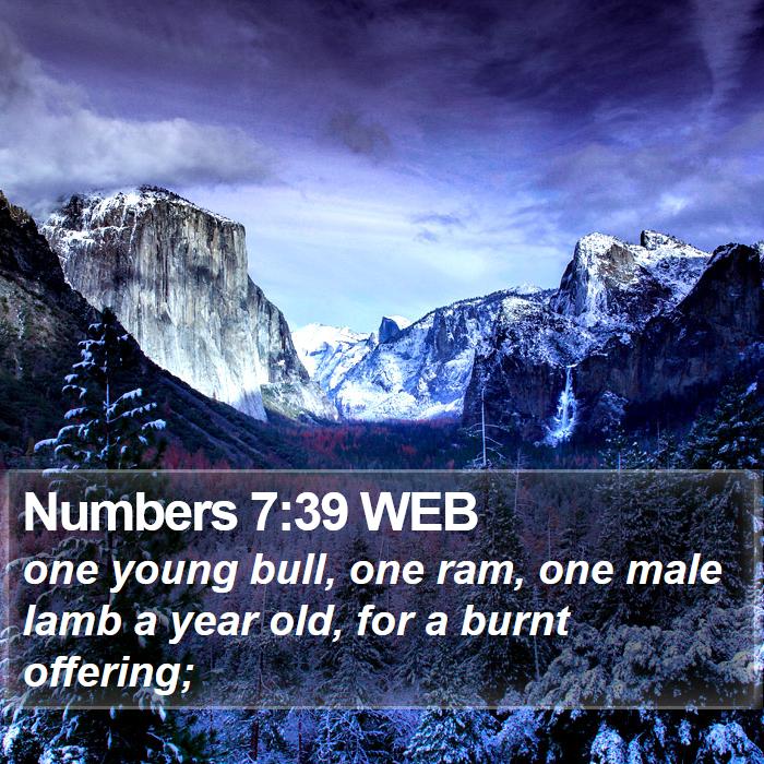 Numbers 7:39 WEB Bible Study