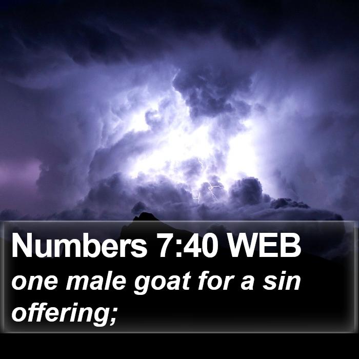 Numbers 7:40 WEB Bible Study