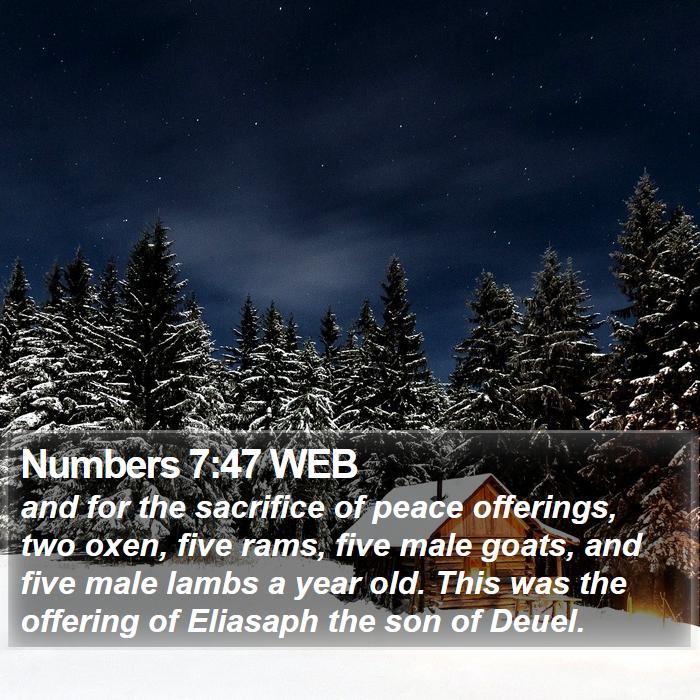 Numbers 7:47 WEB Bible Study