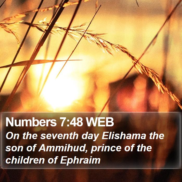 Numbers 7:48 WEB Bible Study