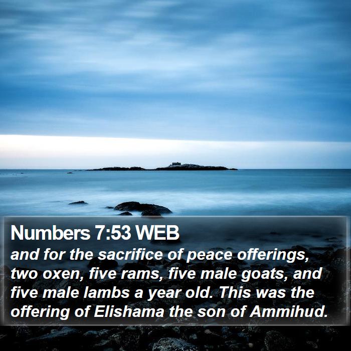 Numbers 7:53 WEB Bible Study