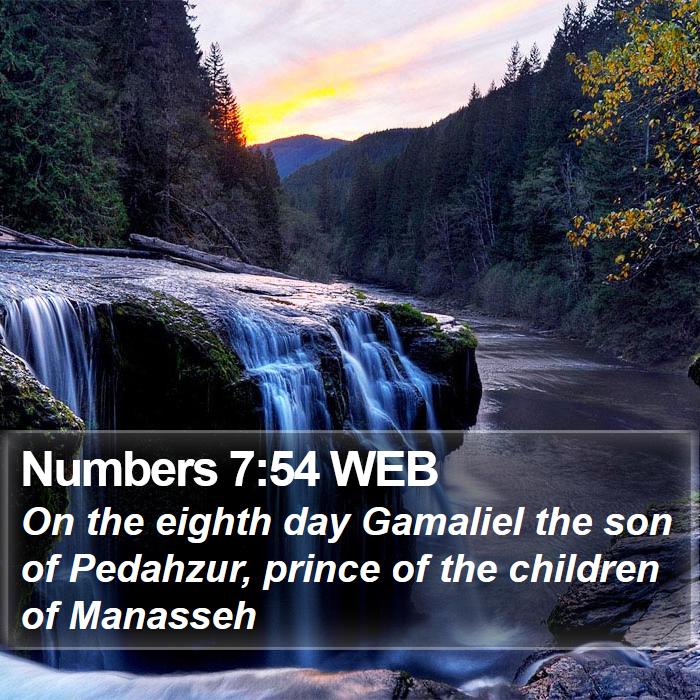 Numbers 7:54 WEB Bible Study