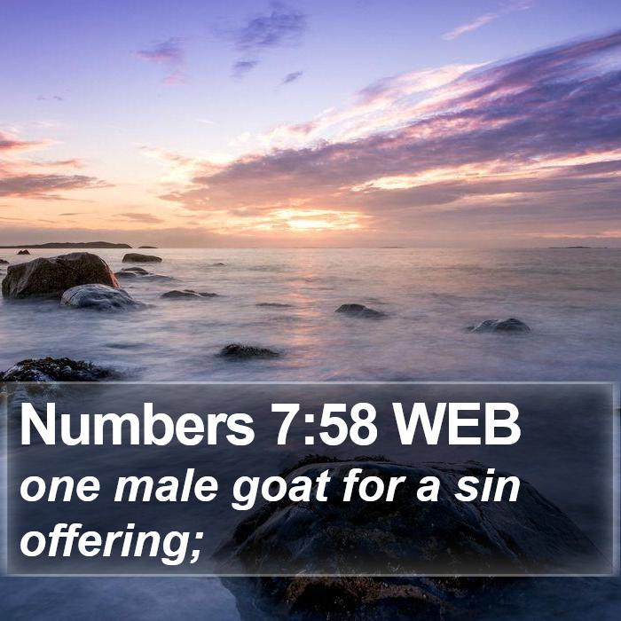 Numbers 7:58 WEB Bible Study