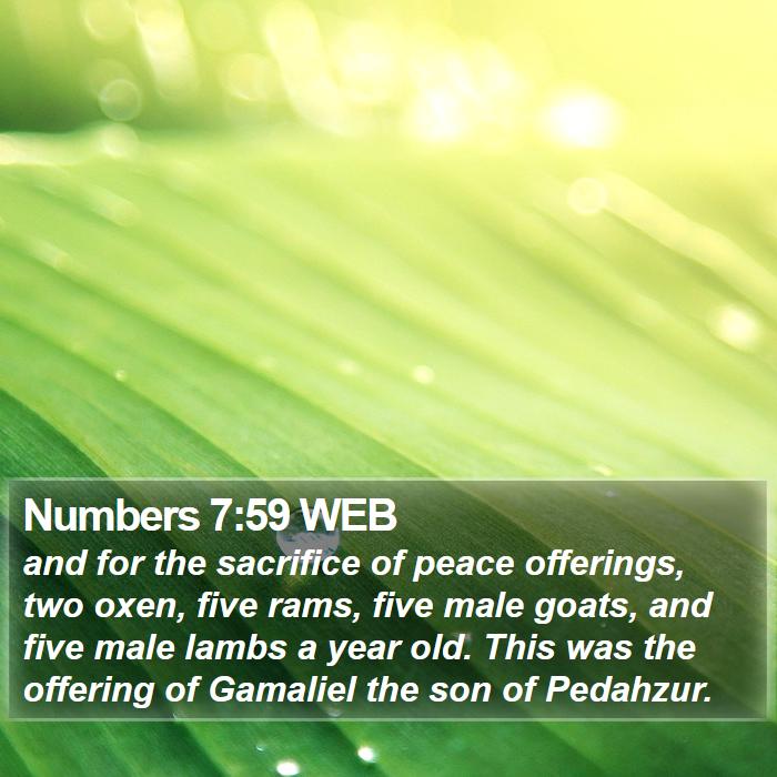 Numbers 7:59 WEB Bible Study